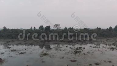 柬埔寨古吴哥窟寺附近的湖中有<strong>古树</strong>伸出水面，瑞恩综合体日出无人机4k
