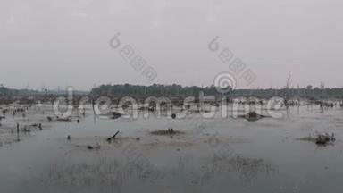 柬埔寨古吴哥窟寺附近的湖中有古树伸出水面，<strong>瑞恩</strong>综合体日出无人机4k