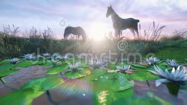 两匹年轻的马在美丽的池塘边一片<strong>如</strong>画的绿色草地上吃草，美丽的<strong>春天</strong>早晨被照亮了