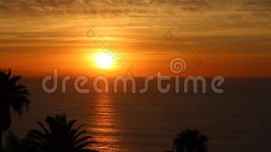 日落海景与棕榈树