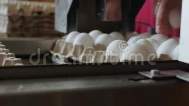 自动化装置在一个小农舍里标记母鸡蛋