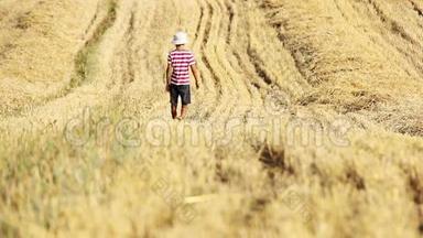 男孩在黄色的田野里，男孩在稻草里，男孩在割草地里