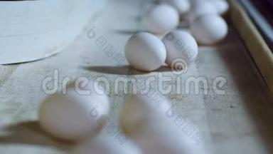现代家禽养殖场内部的鸡蛋生产线。
