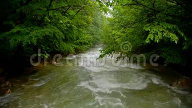 河流在森林中快速流动