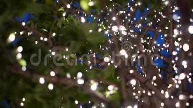 城市树木装饰着圣诞灯。 市夜灯度假.. 蓝色神奇的圣诞节和新年装饰