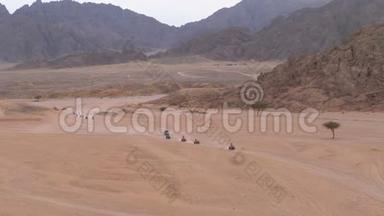 一列四方自行车骑在沙漠中的埃及山脉背景。 驾驶ATV。