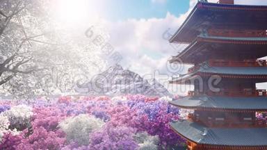 一株<strong>樱花在</strong>山岳、日本寺庙和花田的背景下春天<strong>绽放</strong>。 旅行和冒险