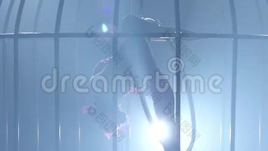 杂技体操表演在一个笼子里的旋转圈在舞台上的<strong>烟雾</strong>。 <strong>烟雾</strong>背景。 慢动作