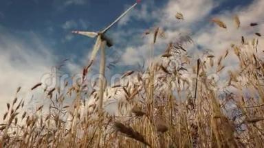 用风力涡轮机缓慢地滑过小麦