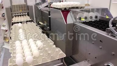 蛋鸡包装设备