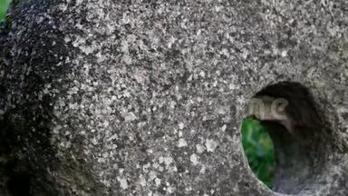 在岩石上发现的大磨<strong>石磨</strong>石孔的更近的图像