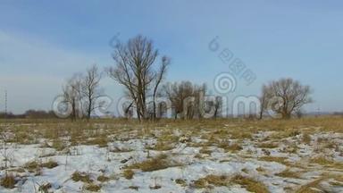 田野里绿草如茵，白雪皑皑，远离了俄罗斯枯死的户外树木，冬天的安定下来