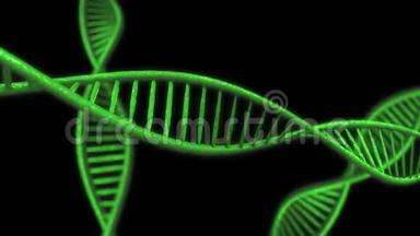 动画DNA链。 绿色DNA慢速运动-3D动画