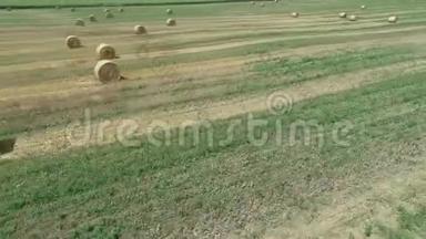鸟瞰绿橙色的田野，有圆形的草捆干草。 4k视频