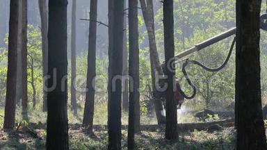 森林<strong>采伐</strong>、伐木、伐木、木材收割机、木材收割机、特种设备森林<strong>采伐</strong>