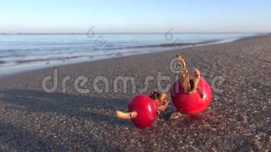 秋海滩上的红色成熟的<strong>玫瑰</strong>花果实果
