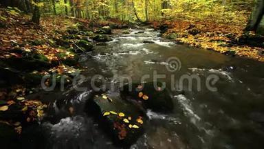 秋天的河流伴着大自然的声音