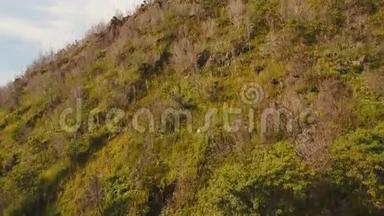 山坡上的树木和植被。 菲律宾Camiguin岛。