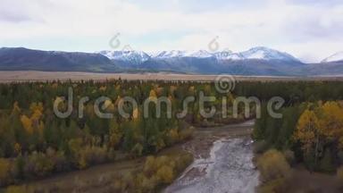 空中观景台。 飞越美丽的山河.. 空中摄影机拍摄。 景观全景。 阿尔泰，西伯利亚。