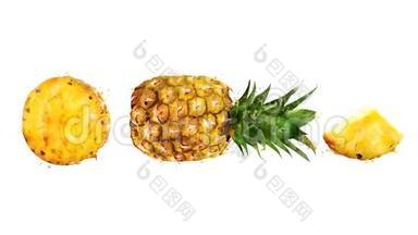 水彩外观动画的菠萝在阿尔法频道。