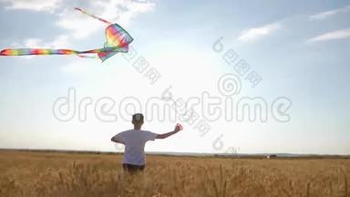 日落时分，一个男孩穿过田野，头上放着风筝。 一个孩子的梦。 儿童游戏