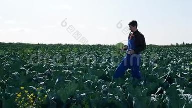 农夫带着卷心菜在田野上散步。 农民在农田上。