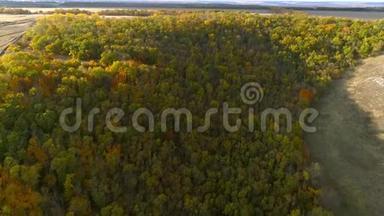 秋林航拍.. 阳光明媚的一天，一架无人机飞过一片森林和一座山