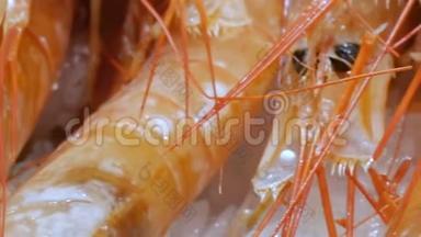 <strong>海鲜</strong>虾蟹在柜台市场，<strong>海鲜</strong>在市场拉波奎利亚在巴塞罗那近距离观看