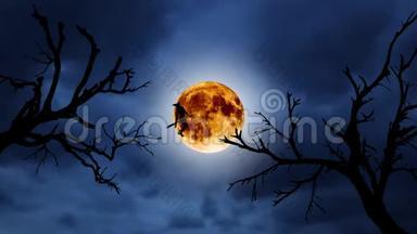 一个年轻女巫在橙色月亮的背景下<strong>用<strong>扫</strong>帚</strong>飞的剪影。万圣节。在老树上