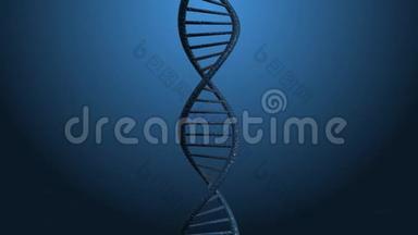 蓝色DNA延缓慢动作-3D动画。 科学录像。 4K