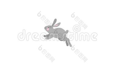 2D动画运行可爱的灰兔，兔子孤立在白色背景。 春天，复活节的概念。 可循环高清