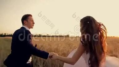 新郎新娘带着小麦在田野上奔跑