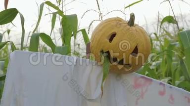 万圣节的庆祝活动。 一个拿着杰克灯笼的稻草人，<strong>而不是</strong>站在玉米地里的头