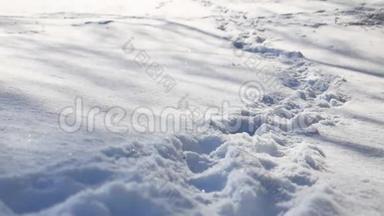 人类的足迹大自然在白雪皑皑的冬天的风景小径上