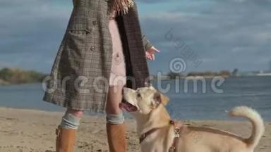 一个穿着外套的年轻女人和一个卷发女孩，妈妈和女儿，跑着，在海滩上和一只棕色的狗玩，狗