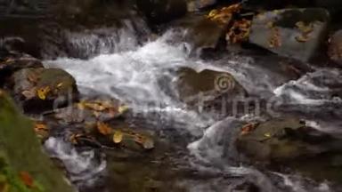 秋天的森林。 山林之中.. 山河。 流着冷水..