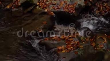 秋天的森林。 山林<strong>之中</strong>.. 山河。 流着冷水..