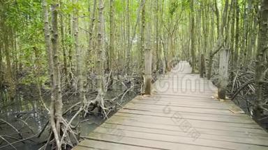 泰国<strong>雷公</strong>东红树林中的木桥