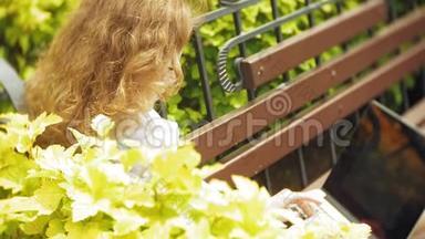 有笔记本电脑的女人在一个美丽的绿色公园的长凳上放松。 一个常年在树洞里工作的年轻女人
