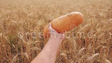 人们在麦田里拿着一条面包. 慢动作<strong>视频</strong>。 小麦领域的成功农学家。 收获<strong>时间</strong>