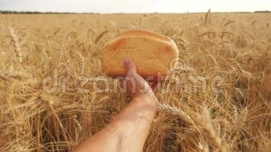 人们在小麦的生活方式<strong>领域</strong>里拿着面包。 慢动作视频。 小麦<strong>领域</strong>的成功农学家。 收获