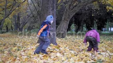 一<strong>年中</strong>的时间，秋天。 儿童在大自然中玩耍