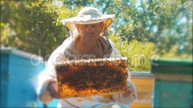 养蜂人手里拿着满是蜜蜂的蜂窝。 养蜂人在养蜂场检查蜂窝框架。 养蜂生活方式