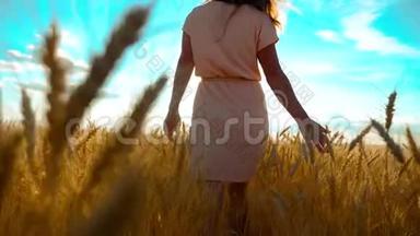 女孩正沿着麦田走大自然慢动作视频.. 美丽的女孩穿着白色的裙子奔跑着大自然的自由