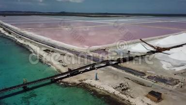 玫瑰加勒比海盐湖博内尔岛空中无人机顶视图4K UHD视频