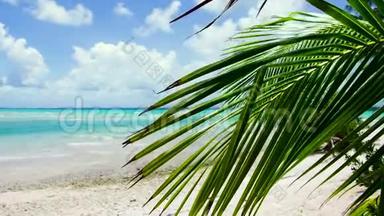法属<strong>波利</strong>尼西亚热带海滩棕榈树