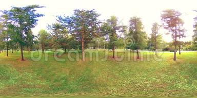 城市公园休闲区的UHD4K360VR虚拟现实。 秋天或夏天的<strong>树木</strong>和<strong>绿草</strong>