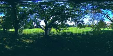 城市公园休闲区的UHD4K360VR虚拟现实。 秋天或夏天的树木和绿草