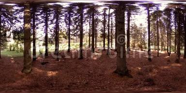 <strong>城市</strong>公园休闲区的UHD4K360VR<strong>虚拟</strong>现实。 秋天或夏天的树木和绿草