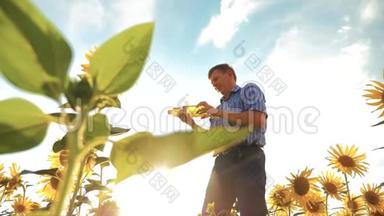 农夫老人手里拿着一个塑料瓶，向日葵油立在田野里。 慢动作视频。 <strong>葵花籽</strong>油